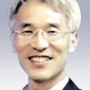 로뎀나무 이미지