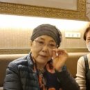 눈높은돼지