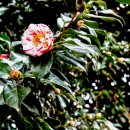 사등경로당 이미지