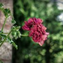 소리영어 상상영어 이미지