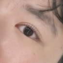 유한회사필건설 | 범계속눈썹펌 블랙틴팅펌 잘하는 리바이필뷰티 안양범계점 후기