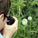 음악으로배우는영어 이미지