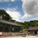심곡사 - 1271 | 심곡사