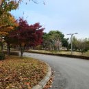 안산화랑오토캠핑장 이미지