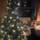 패러슈트(parachute) 이미지