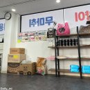 냥플레이스 이미지