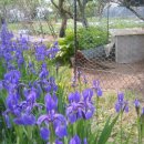 참새농장 이미지