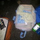 늘푸른낚시 이미지