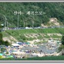 대마민박