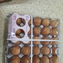 명승양계농장 이미지