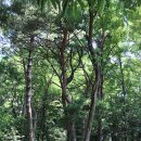 동해한옥펜션 이미지