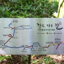 제주불교성지 순례길 절로 가는길 - 정진의 길 이미지