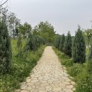 삼각어린이공원 | 광명 애견동반 가볼만한곳 새빛공원 코코랑 피크닉