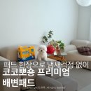 뽀숑 - 시흥시 목감중앙로 53 | 코코뽀숑 올데이 프리미엄 배변패드 사용 솔직후기