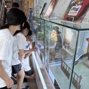 경상북도교육청 울릉도서관 이미지