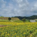 연천호로고루 이미지