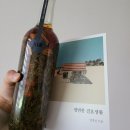수민모터스 | 2021년 6월 일상, 얀센백신, 수레의산 자연휴양림, 대전 성심당