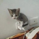 베스트웨스턴 해운대호텔 이미지