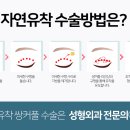 아티스성형외과 이미지