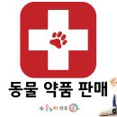 우성온누리약국 이미지