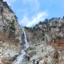 꽃피는봄이오면 이미지