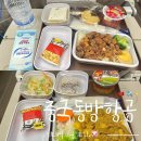 동방마트 | 중국동방항공 상하이 기내식 후기, 스카이팀 적립 ✈️