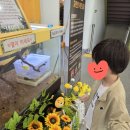 북서울꿈의숲 곤충전 후기｜개미도 그냥 못 지나치는 아이에게 딱 좋은 전시