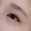 창원 상남동 속눈썹 연장 추천 : 디어뷰티 스튜디오