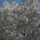 수원성첨성대한증막 이미지