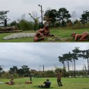 생금우물 이미지