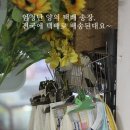 대운올챙이 이미지