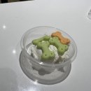 그릭요거트 맛집, 동탄 영천동 요커