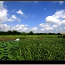 갈대습지공원 이미지