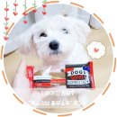라지독스 | [강아지간식]독스러브 홈무스츄 라지 강아지껌 후기#