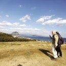 올리비에 이미지