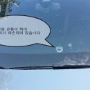 금강차유리 - 화성시 수작이길 113 | 금강차유리