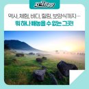 [초등저] 환경지킴이 : 기후&탄소중립 (7월) | [에너지여행-전라북도 고창] 역사, 체험, 바다, 힐링, 보양식까지… 뭐 하나 빼놓을 수 없는 그곳!