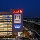 몰리스펫샵 스타필드시티 위례점 이미지