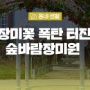 금강수변공원 숲바람장미원 이미지