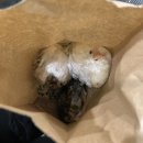 수원역 주먹맛볼래 짧은 후기