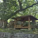 동림농장 이미지