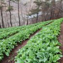 종근농장 이미지