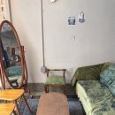 강남 속 작은 유럽, 우드톤의 아늑한 감성 카페 '피노(PINO)' 솔직 후기