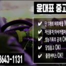 군위자동차매매상사 이미지