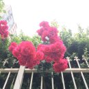 에이치디알 이미지