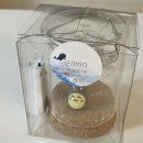 군산바다캔들 이미지