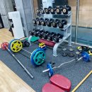 엘디스리젠트 이미지