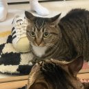 여원담 | 8ᴛʜ ʙʟᴏɢ ᴄʜᴀʟʟᴇɴɢᴇ