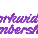 맹그로브 제주시티 이미지