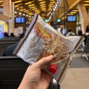 한국지엠 원주만종지정서비스 | 발리 4박 6일 자유여행, 스쿠트항공 발리 지연 싱가포르 공항 환승 및 택시 예약 후기